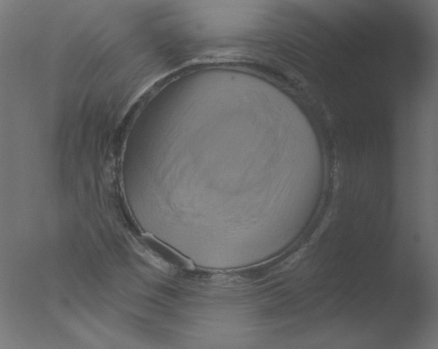 X0000076101449200610202123