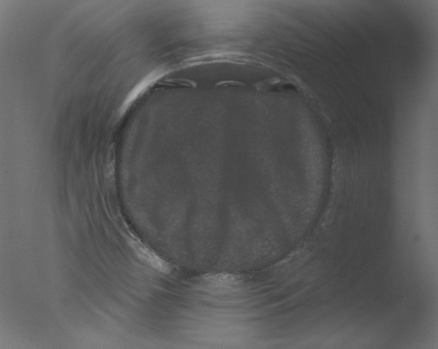 X0000076101450200610202123