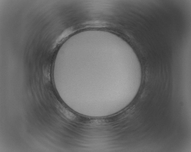 X0000076101451200610202123