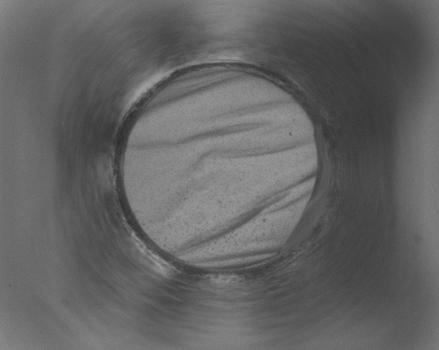 X0000076101452200610202123