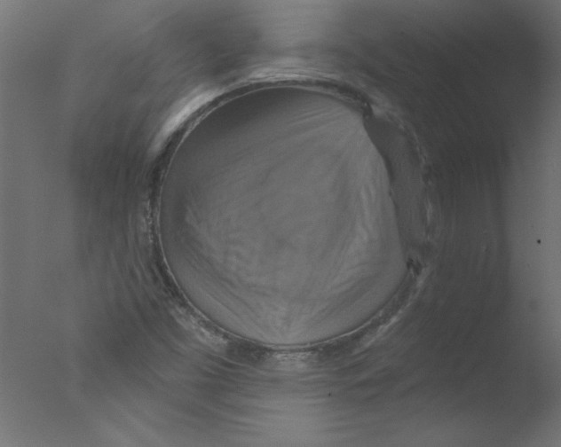 X0000076101453200610202123