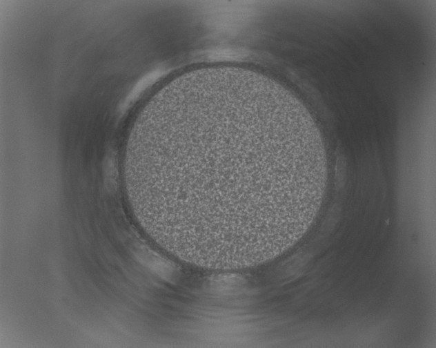 X0000076101454200610202123