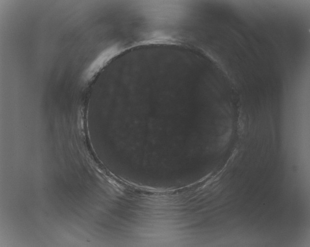 X0000076101455200610202123