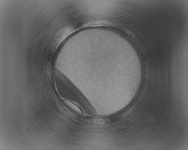 X0000076101457200610202123