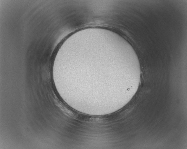 X0000076101458200610202123