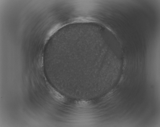 X0000076101459200610202123