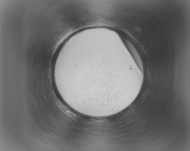 X0000076101460200610202123