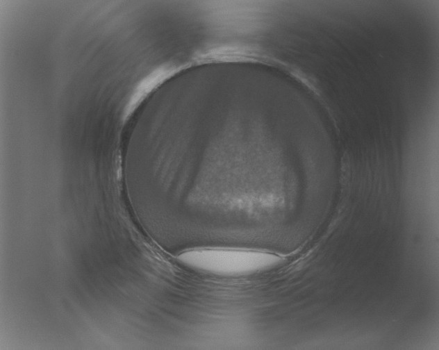 X0000076101461200610202123