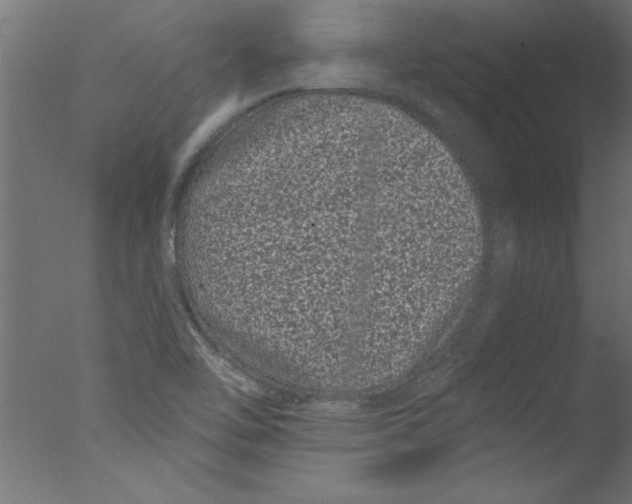 X0000076101462200610202123