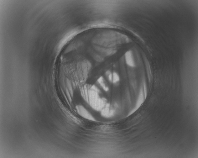 X0000076101463200610202123