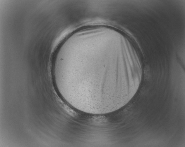 X0000076101464200610202123