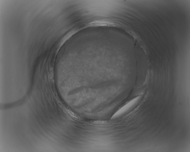 X0000076101465200610202123