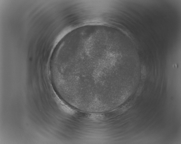 X0000076101466200610202123