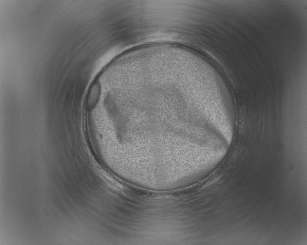 X0000076101467200610202123