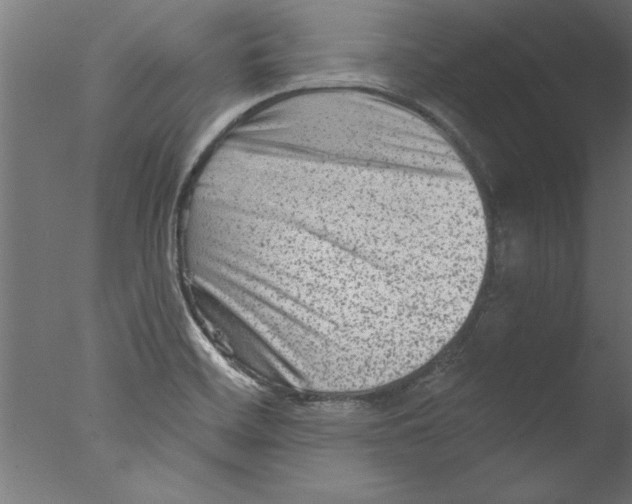 X0000076101468200610202123