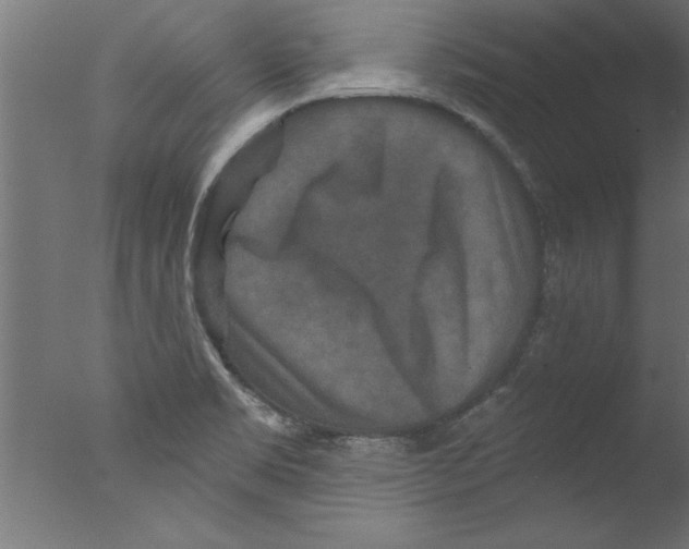 X0000076101469200610202123