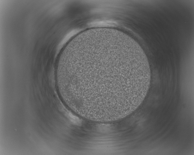 X0000076101470200610202123