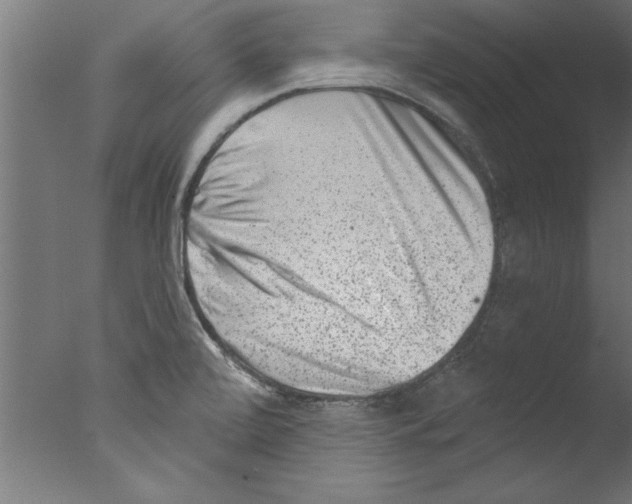 X0000076101472200610202123