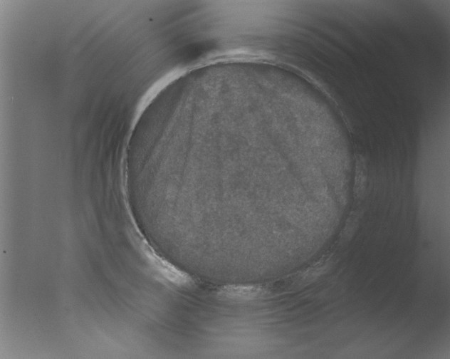 X0000076101474200610202123