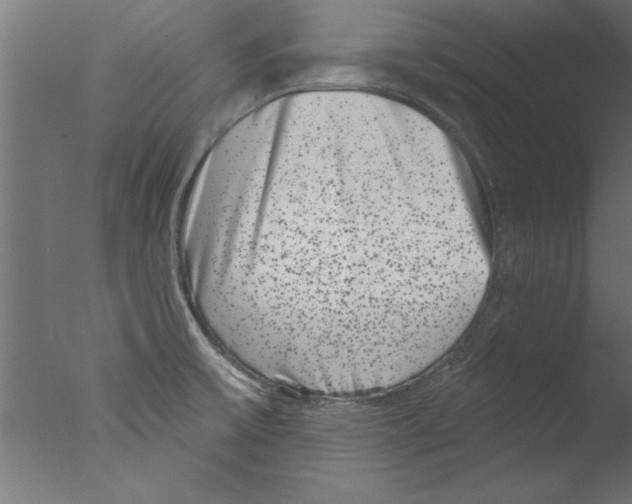 X0000076101475200610202123