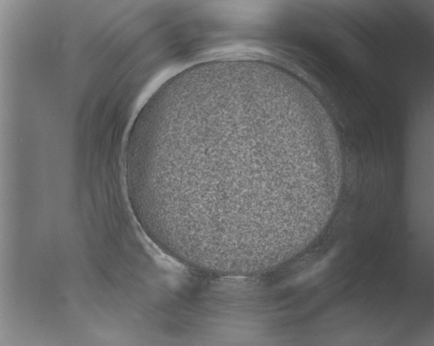 X0000076101478200610202123