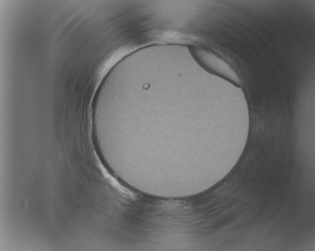 X0000076101479200610202123