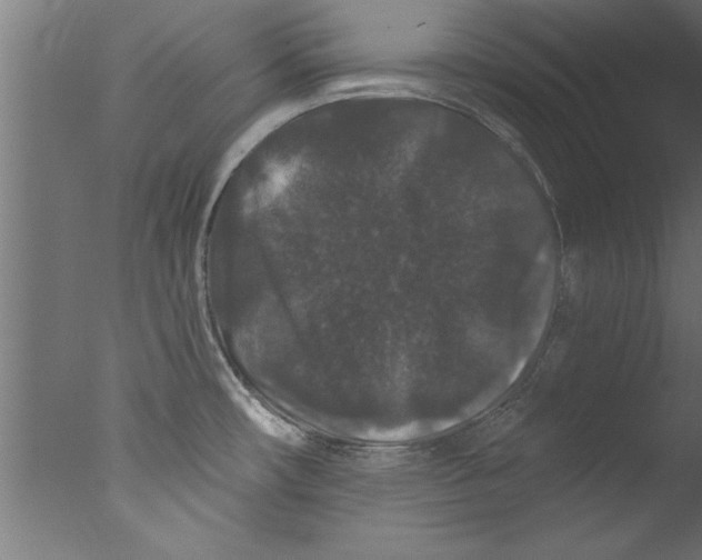 X0000076101482200610202123