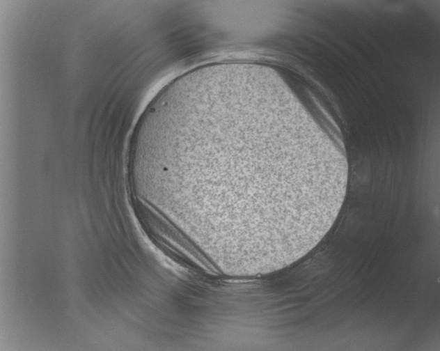 X0000076101483200610202123