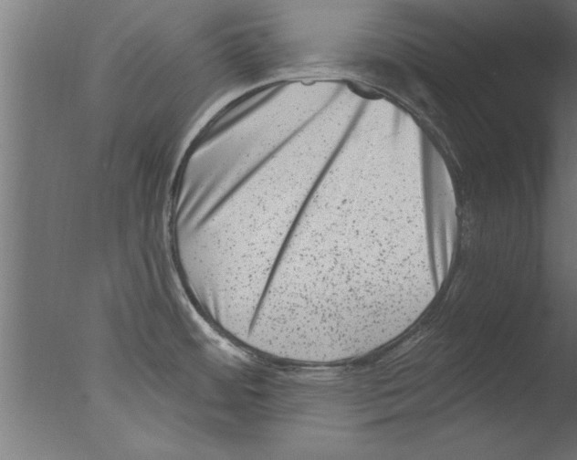 X0000076101484200610202123