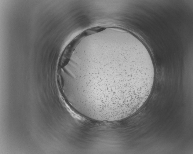 X0000076101485200610202122