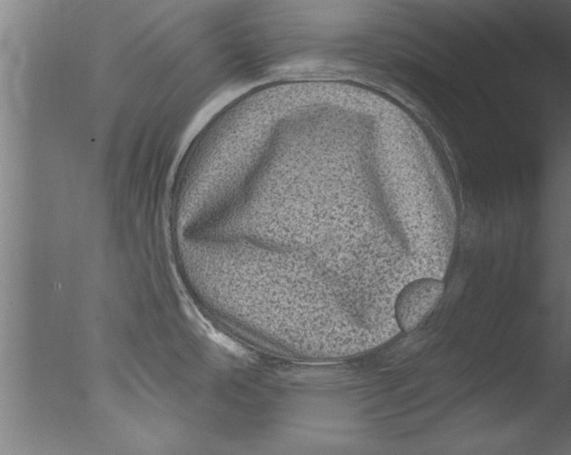 X0000076101486200610202122