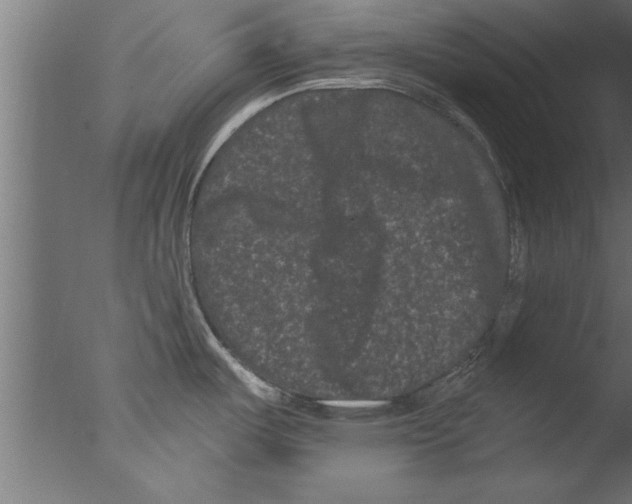 X0000076101487200610202122