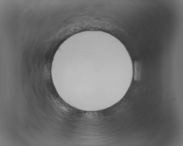 X0000076101491200610202122