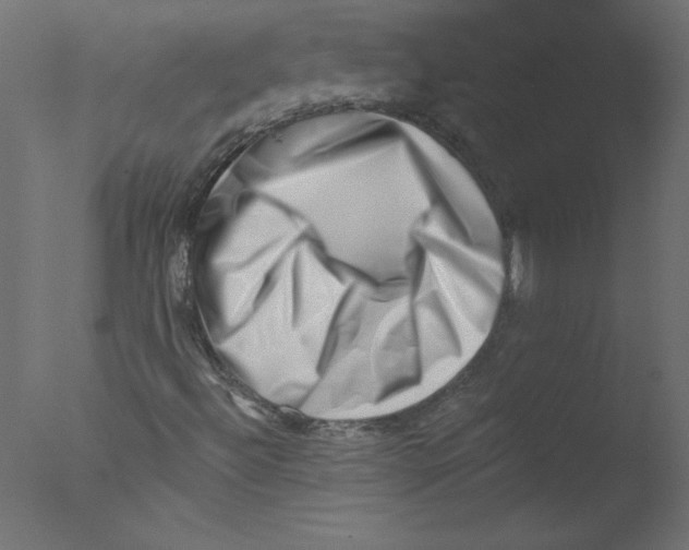 X0000076101492200610202122