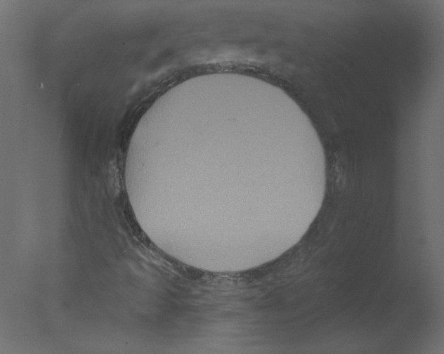 X0000076101493200610202122