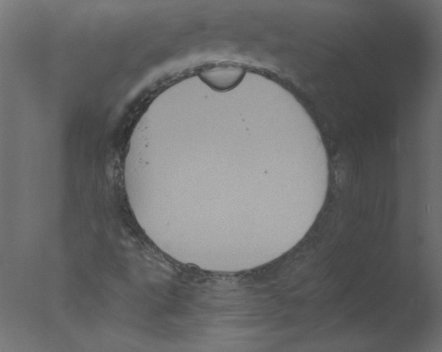 X0000076101495200610202122