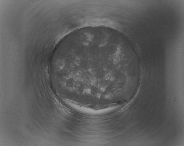 X0000076101497200610202122