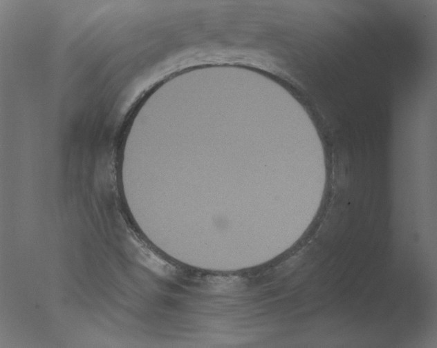 X0000076101498200610202122