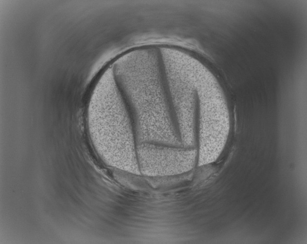 X0000076101501200610202122