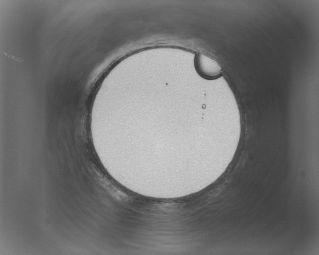 X0000076101502200610202122