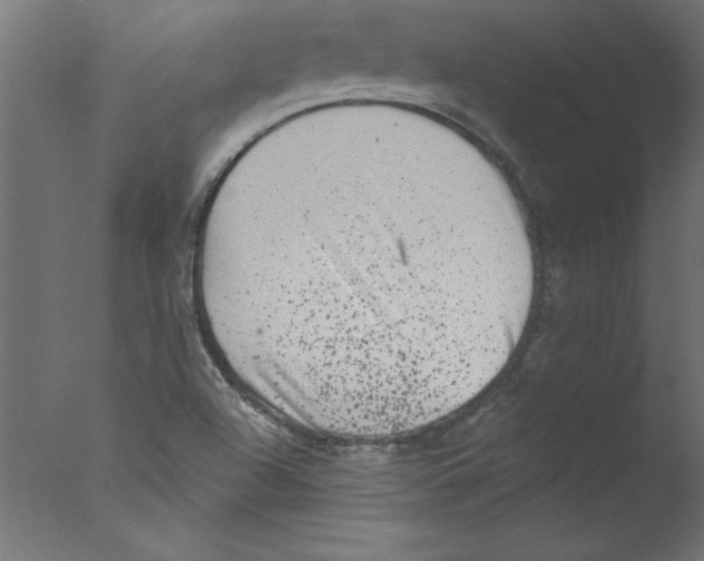 X0000076101504200610202122