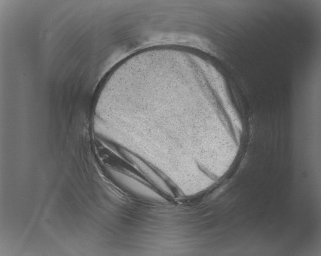 X0000076101505200610202122