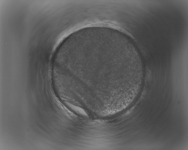 X0000076101506200610202122