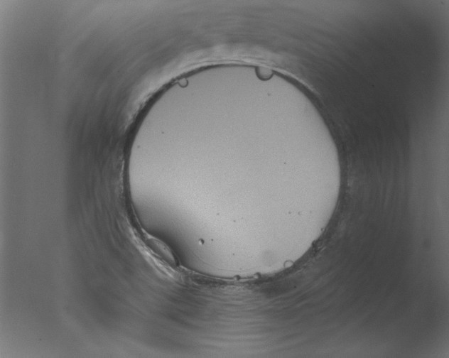 X0000076101507200610202122