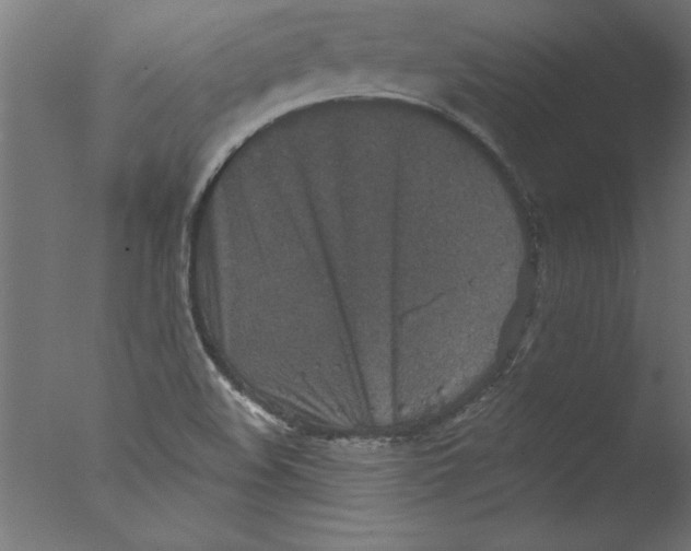 X0000076101508200610202122