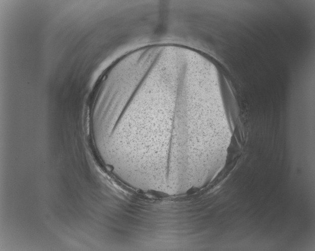 X0000076101510200610202122