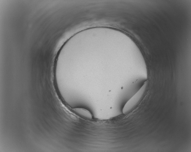 X0000076101512200610202122