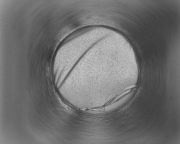 X0000076101513200610202122