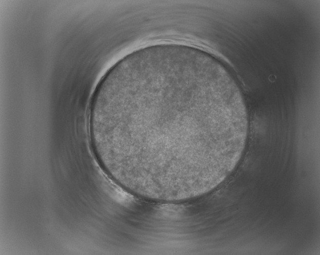 X0000076101514200610202122