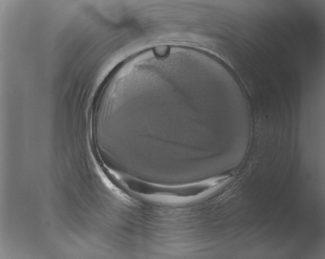 X0000076101515200610202122